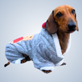 Load image into Gallery viewer, Double Fleece Dachshund Outfit - 'Jordans' BALLS 23 | Sausage Dog Box
