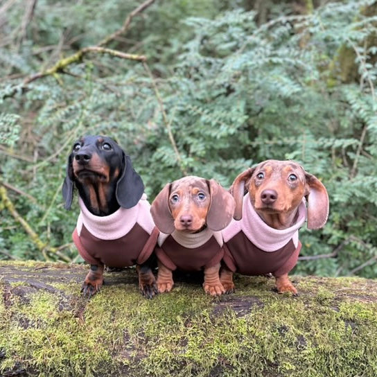 Strawberry Truffle DoxieDri Sausage Dog Harness Jumper