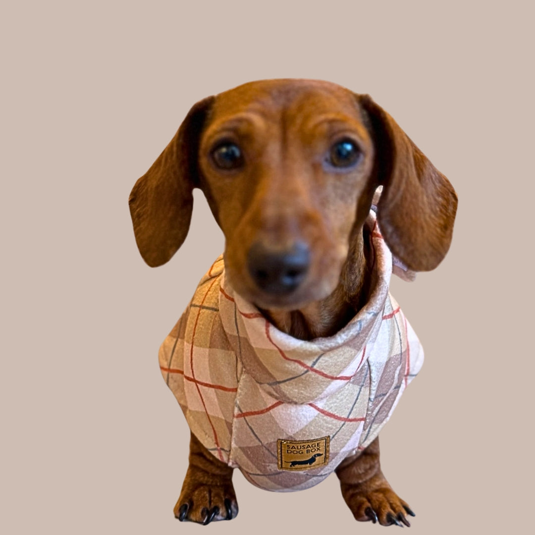 Chestnut Plaid Fleece Dachshund Dog Jumper