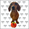 Load image into Gallery viewer, CLEARANCE - BARK AVENUE Tennis Ball Holder & Tennis Ball
