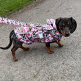 Load image into Gallery viewer, Howdy Cowgirl 'Dach-A-Mac' Dachshund Rain Mac In Bag
