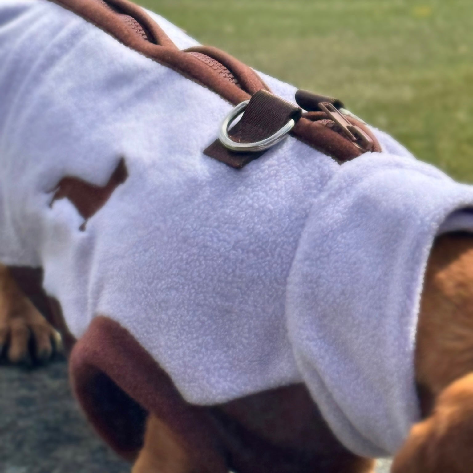 Lavender Fields Waterproof Dachshund Harness Fleece | Sausage Dog Box DoxieDri