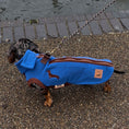 Load image into Gallery viewer, Azure Blue Waterproof Dachshund Harness Fleece | DoxieDri Jumper
