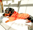 Load image into Gallery viewer, Sausage Dog Box Orange Dachshund Hoodie
