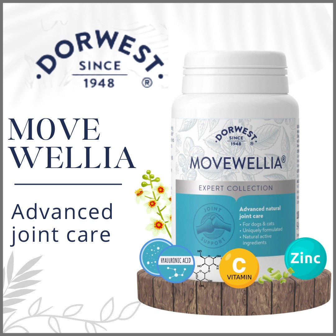 Dorwest MoveWellia - Advanced Joint Care For Dachshund’s