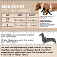 Load image into Gallery viewer, ‘Meanie Weenie’ Red Anti-Rub Dachshund Christmas Harness - Sausage Dog Box

