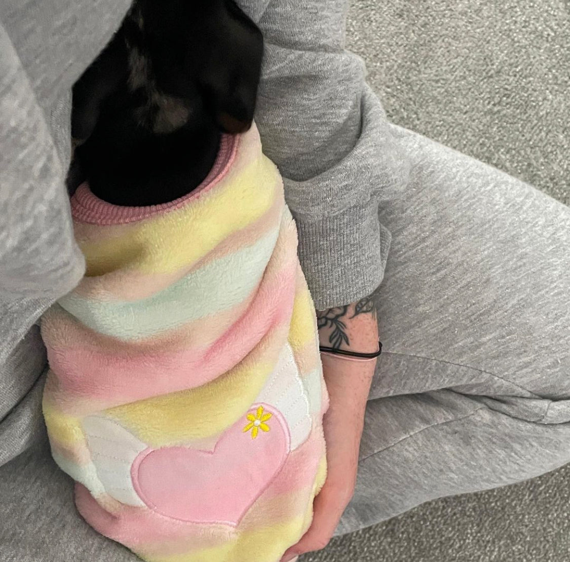 Pink & Yellow ‘Flutter By Heart’ Sausage Dog Box Puppy Pj Jumper