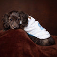 Load image into Gallery viewer, Blue ‘Chrip Birdy’ Sausage Dog Box Puppy Pj Jumper
