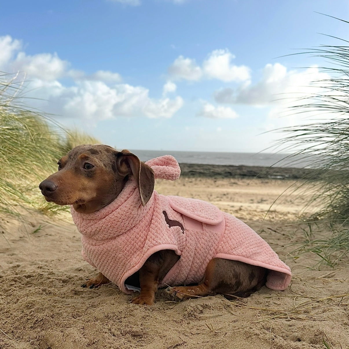 Cotton Candy DoxieRobe - Bamboo Dachshund Drying Robe