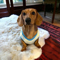 Load image into Gallery viewer, Speedy Snail - Sausage Dog Box Dachshund PJ's/Jumper
