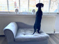 Load image into Gallery viewer, Sausage Dog Box, Dachshund Fern Chaise Longue  Sofa Bed With Storage
