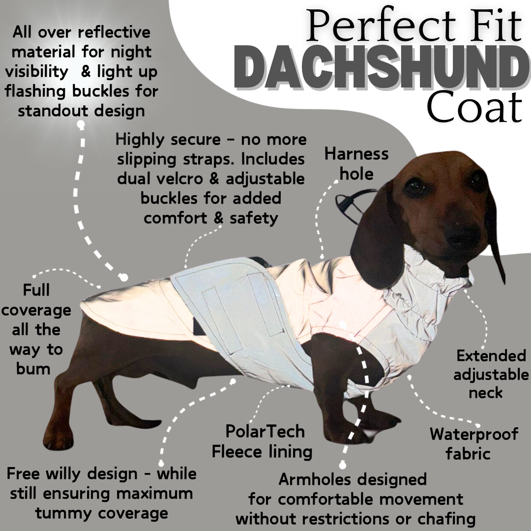 Sausage Dog Coat - Glow Getter - Reflective Light Up LED Dachshund Coat