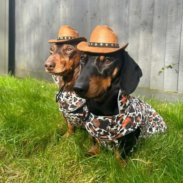 Howdy Cowboy 'Dach-A-Mac' Dachshund Rain Mac In Bag Sausage Dog Box Coat