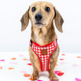 Load image into Gallery viewer, Red Houndstooth DoxieLite Dachshund Harness
