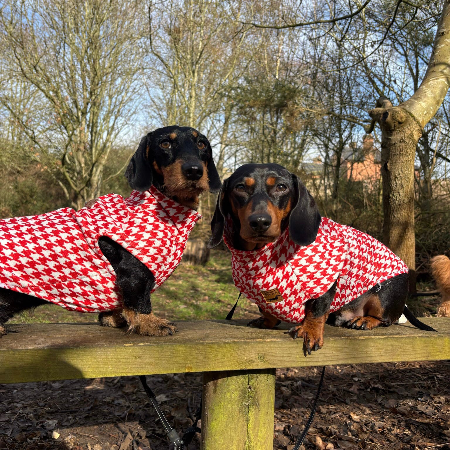 Red Houndstooth Dachshund Fleece Long Dog Zipper Valentines Jumper