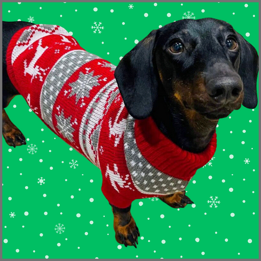 Sausage Dog Box Dachshund Winter Print Jumper