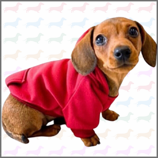 Sausage Dog Box Burgundy Dachshund Hoodie