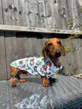 Load image into Gallery viewer, I LOVE BALLS DoxieCool Dachshund Cooling Tee Vest +30 Protection
