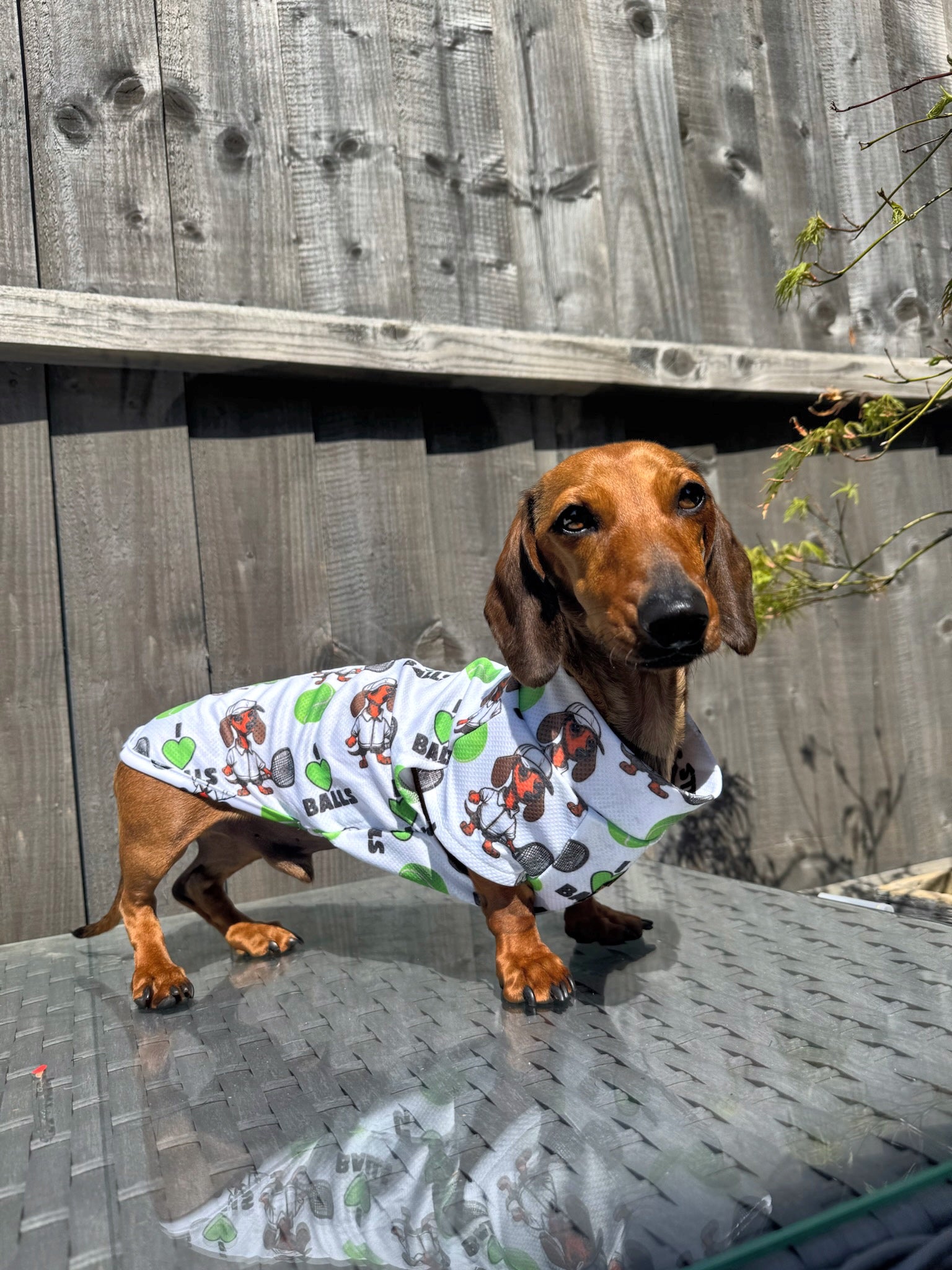 I LOVE BALLS DoxieCool Dachshund Cooling Tee Vest +30 Protection