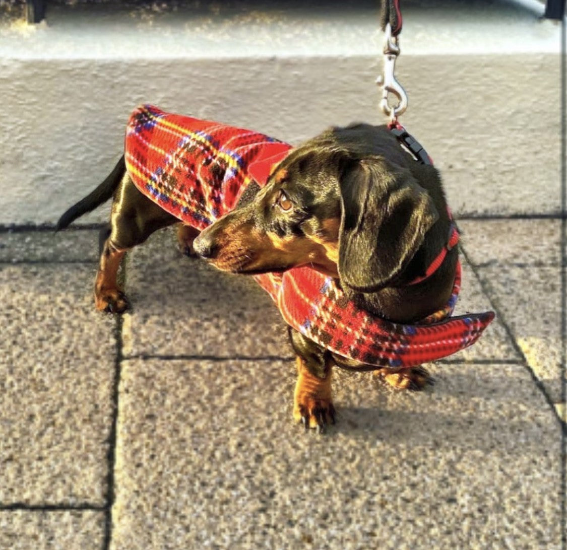 Sausage Dog Box Designer Fleece Waterproof 'Tartan' Dachshund Coat