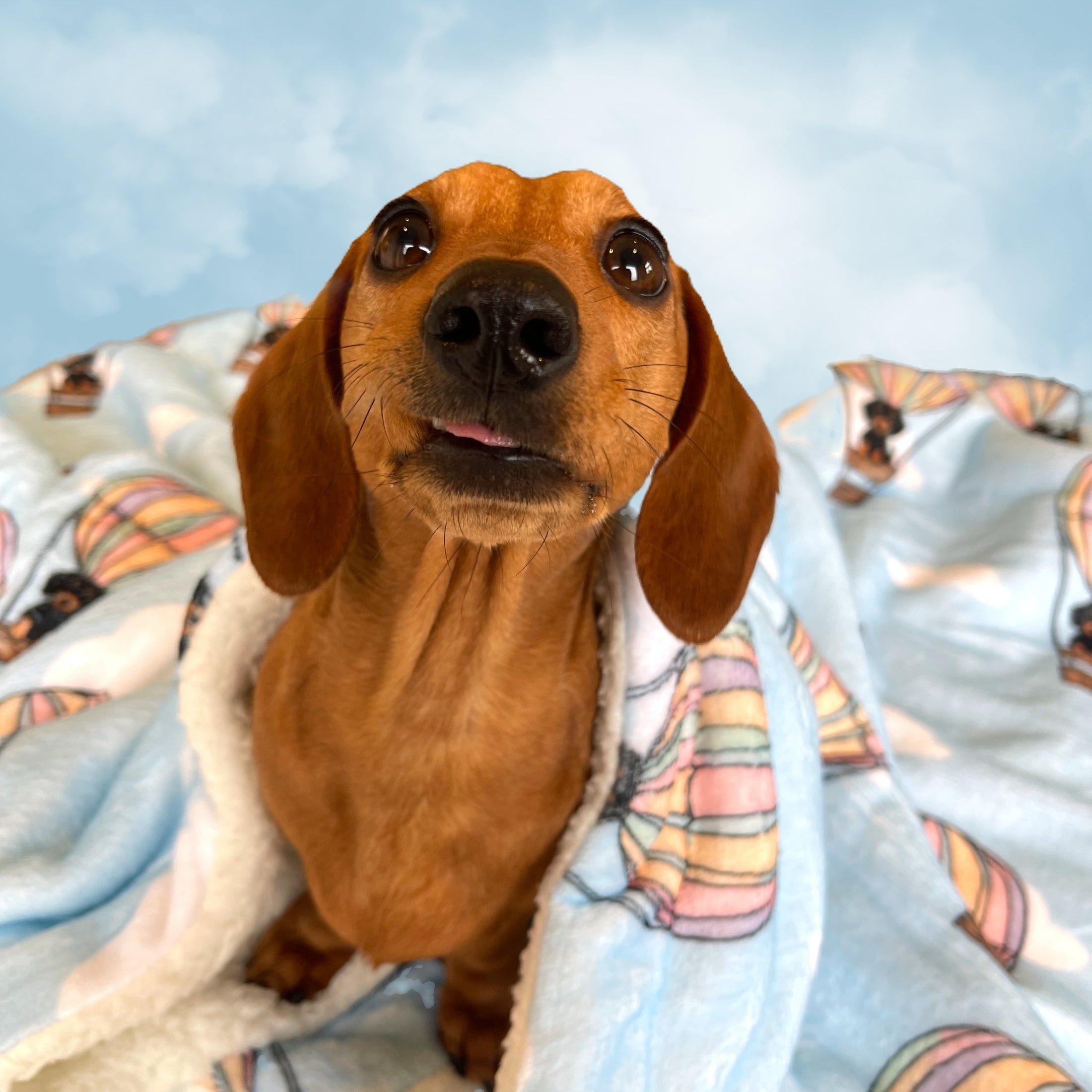 Blanket - Up, Up & Away