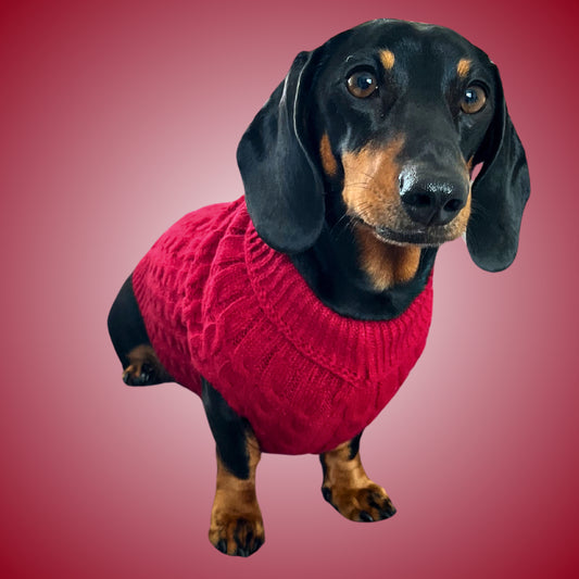 Cranberry Red Cable Knit Dachshund Jumper Sweater - Sausage Dog Box