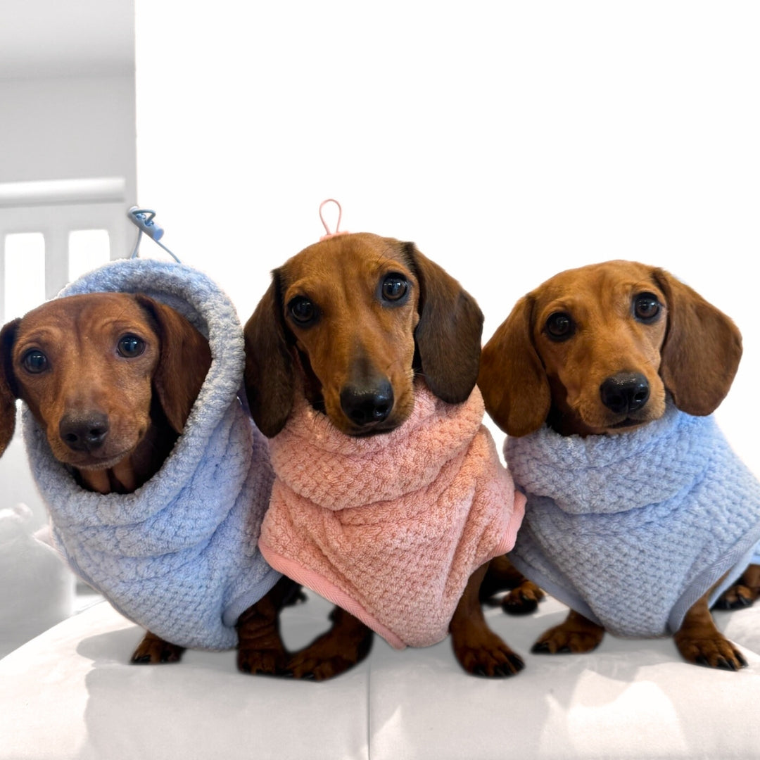 Frosted Blue DoxieRobe - Bamboo Dachshund Bath Robe