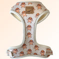 Load image into Gallery viewer, Anti-Rub Dachshund Harness - Ahoy Star Sausage
