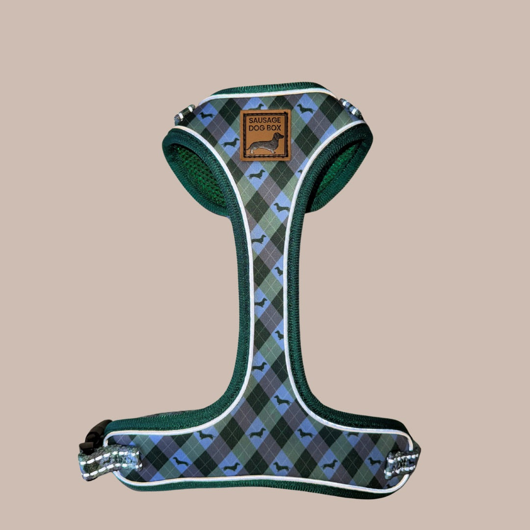 Blue Highland Argyle Dachshund Dog Harness