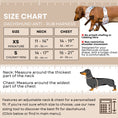 Load image into Gallery viewer, Howdy Cowboy Anti-Rub Harness for Dachshunds / Adjustable Sausage Dog Harness
