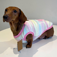 Load image into Gallery viewer, Pink & Yellow Flutter By Heart - Sausage Dog Box Dachshund PJ's/Jumper

