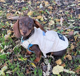 Load image into Gallery viewer, BARK AVENUE Luxury Ultimate Explorer Coat  - Stone
