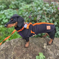 Load image into Gallery viewer, Spiced Twilight Waterproof Dachshund Harness Fleece | Sausage Dog Box DoxieDri
