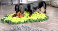 Load image into Gallery viewer, Sausage Dog Box Large Avocado Snuffle Mat

