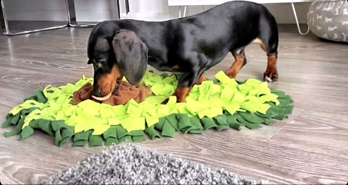 Sausage Dog Box Large Avocado Snuffle Mat