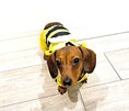 Load image into Gallery viewer, CLEARANCE - Sausage Dog Box Bumblebee Raincoat
