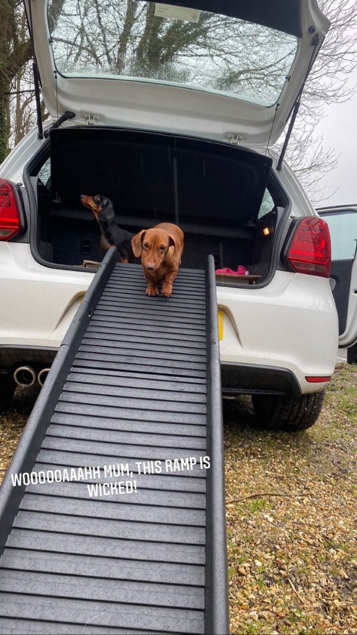 Sausage Dog Box, Dachshund Folding Car Ramp for Dachshund Sausage Dog