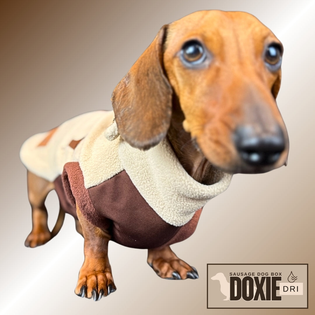 Walnut Whip DoxieDri Dachshund Harness Fleece