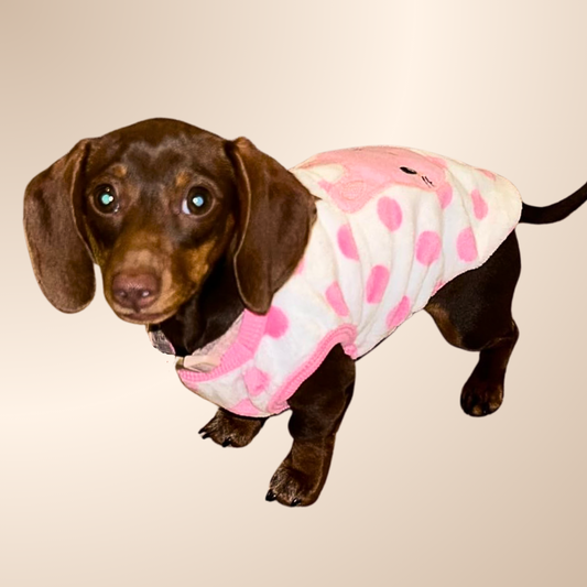 Pink ‘Bunny Hop’ Sausage Dog Box Puppy Pj Jumper