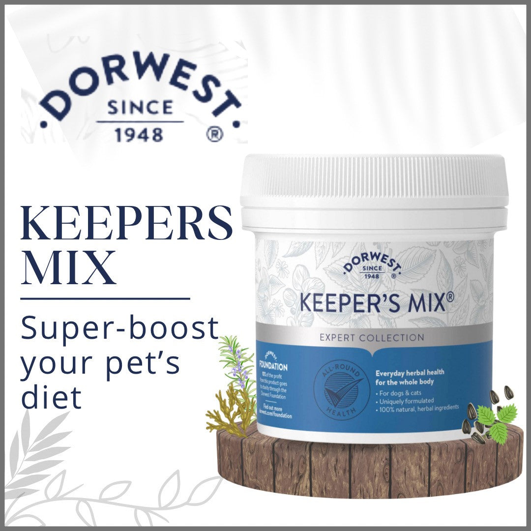 Dorwest Keepers Mix - Super-boot Dachshund’s Diet