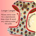 Load image into Gallery viewer, Strawberries & Weens Anti-Rub Dachshund Harness
