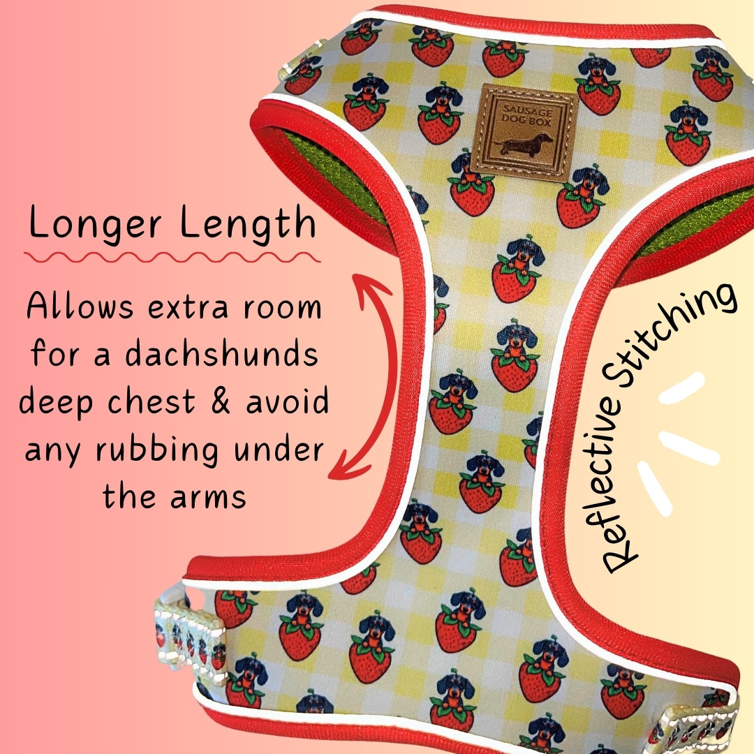 Strawberries & Weens Anti-Rub Dachshund Harness