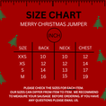 Load image into Gallery viewer, Sausage Dog Box Merry Christmas Dachshund Jumper
