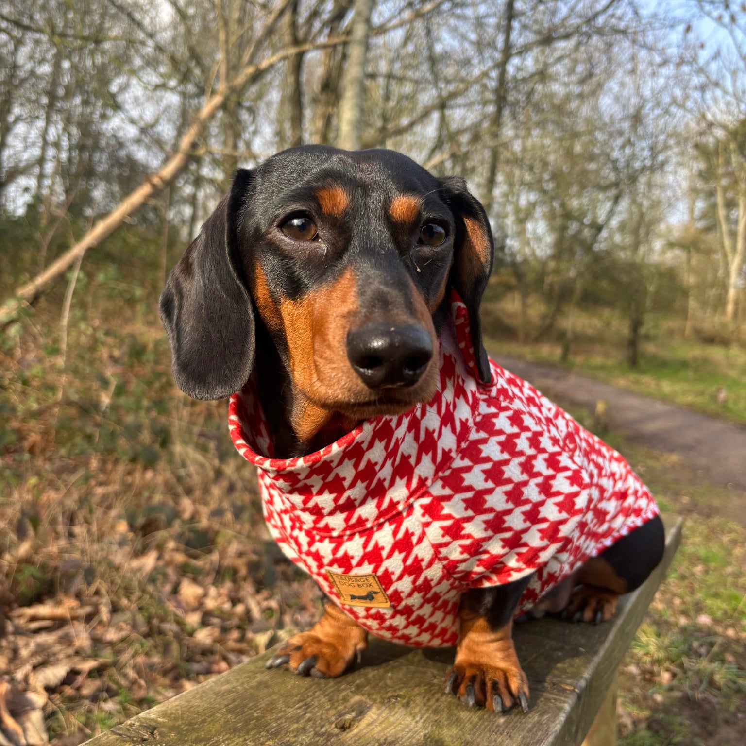 Red Houndstooth Dachshund Fleece Long Dog Zipper Valentines Jumper