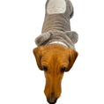 Load image into Gallery viewer, Sausage Dog Box Dachshund Oneise Outfit/Costume  - Grey Little Monster
