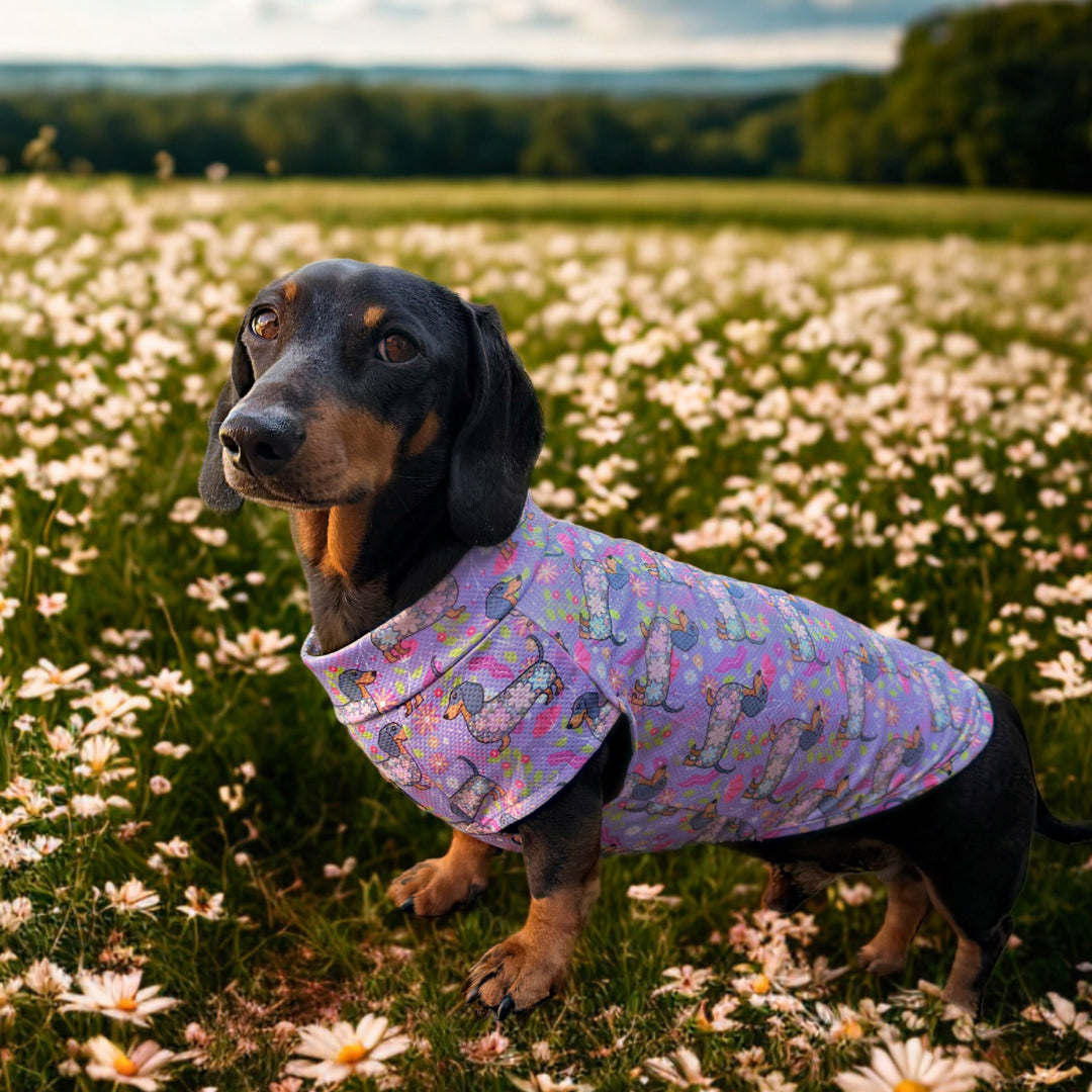 Dachshund In Bloom DoxieCool Dog Cooling Vest for Dachshunds