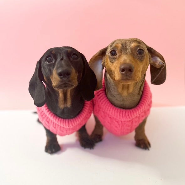 Raspberry Ripple Luxury Cable Knit Dachshund Jumper - Sausage Dog Box