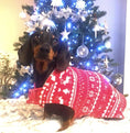 Load image into Gallery viewer, Sausage Dog Box Reversible Christmas Fleece Coat
