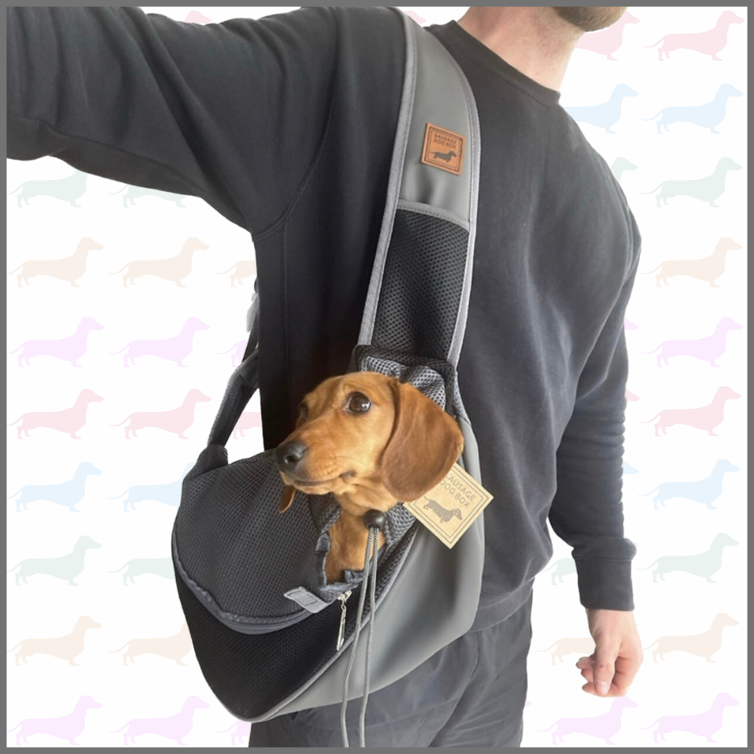 Sausage Dog Box Dachshund Puppy Sling Carrier Bag