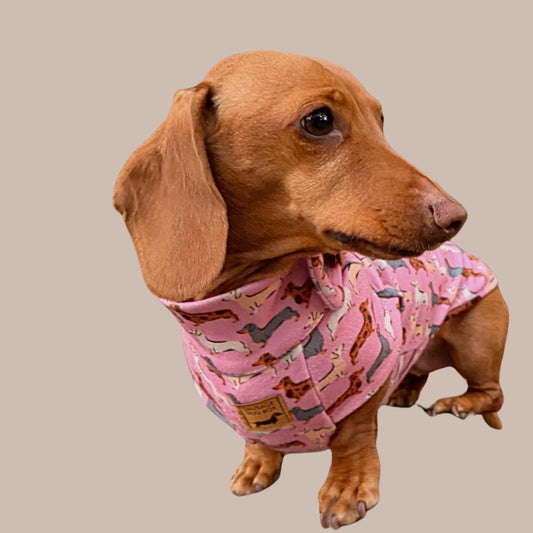 Pink Sophisticated Sausage Long Dog Zipper Dachshund Fleece Jumper / Sweater